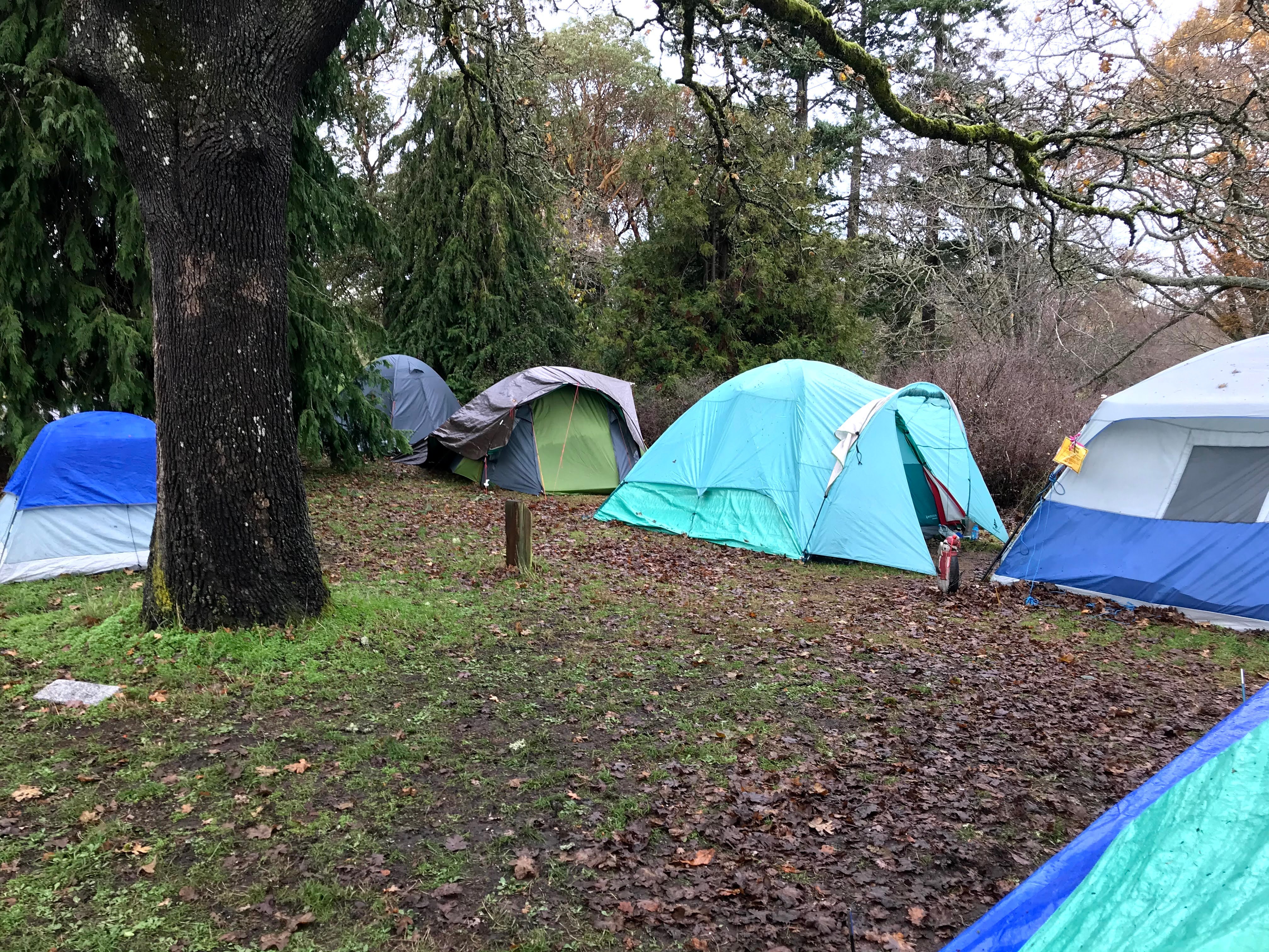 Six tents set up amongst the trees and grass in Beacon Hill Park in 2020. They have tarps over them to protect them from the rain.